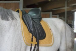 EQUITHÈME Softy Schabracke