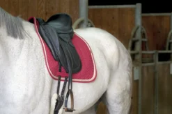 EQUITHÈME Softy Schabracke