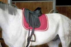 EQUITHÈME Softy Schabracke