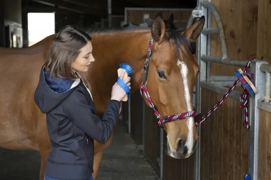 EQUITHÈME Steppweste Phoebe