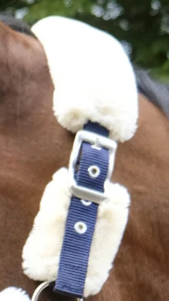 EQUITHÈME Teddy Halfter