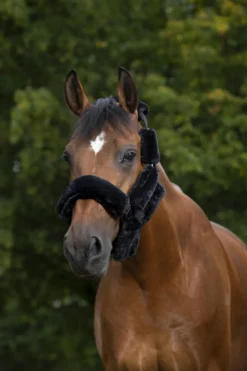 EQUITHÈME Teddy Halfterzubehörset