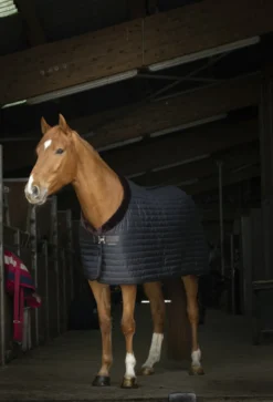 EQUITHÈME Teddy Stalldecke, mit synthetischem Lammfell-Futter