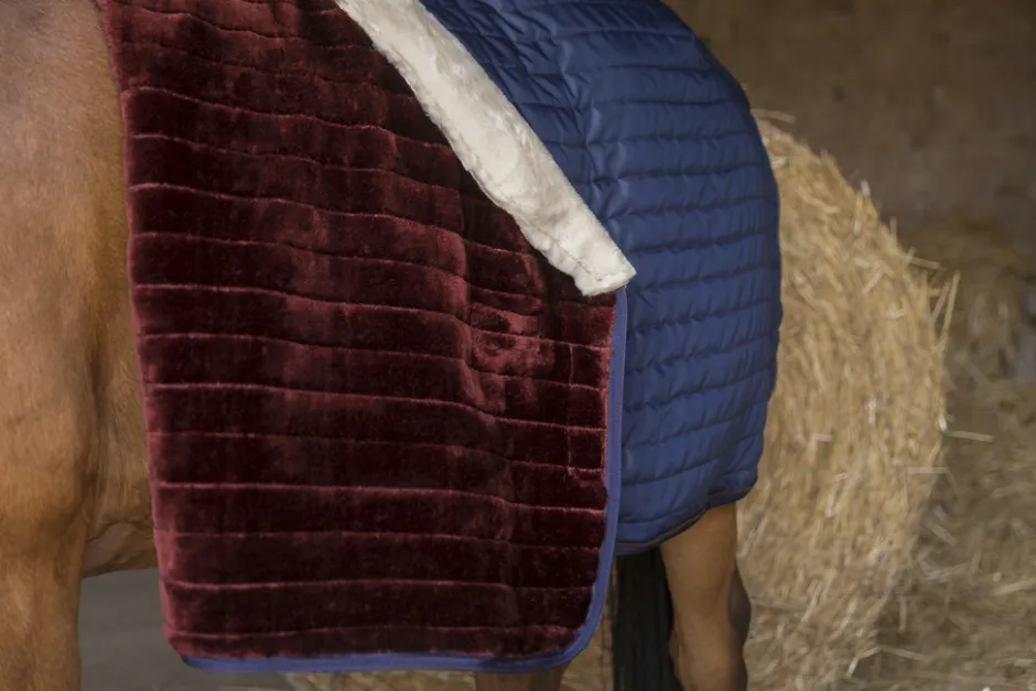 EQUITHÈME Teddy Stalldecke, mit synthetischem Lammfell-Futter