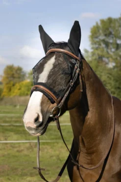EQUITHÈME Training Antifliegenmaske