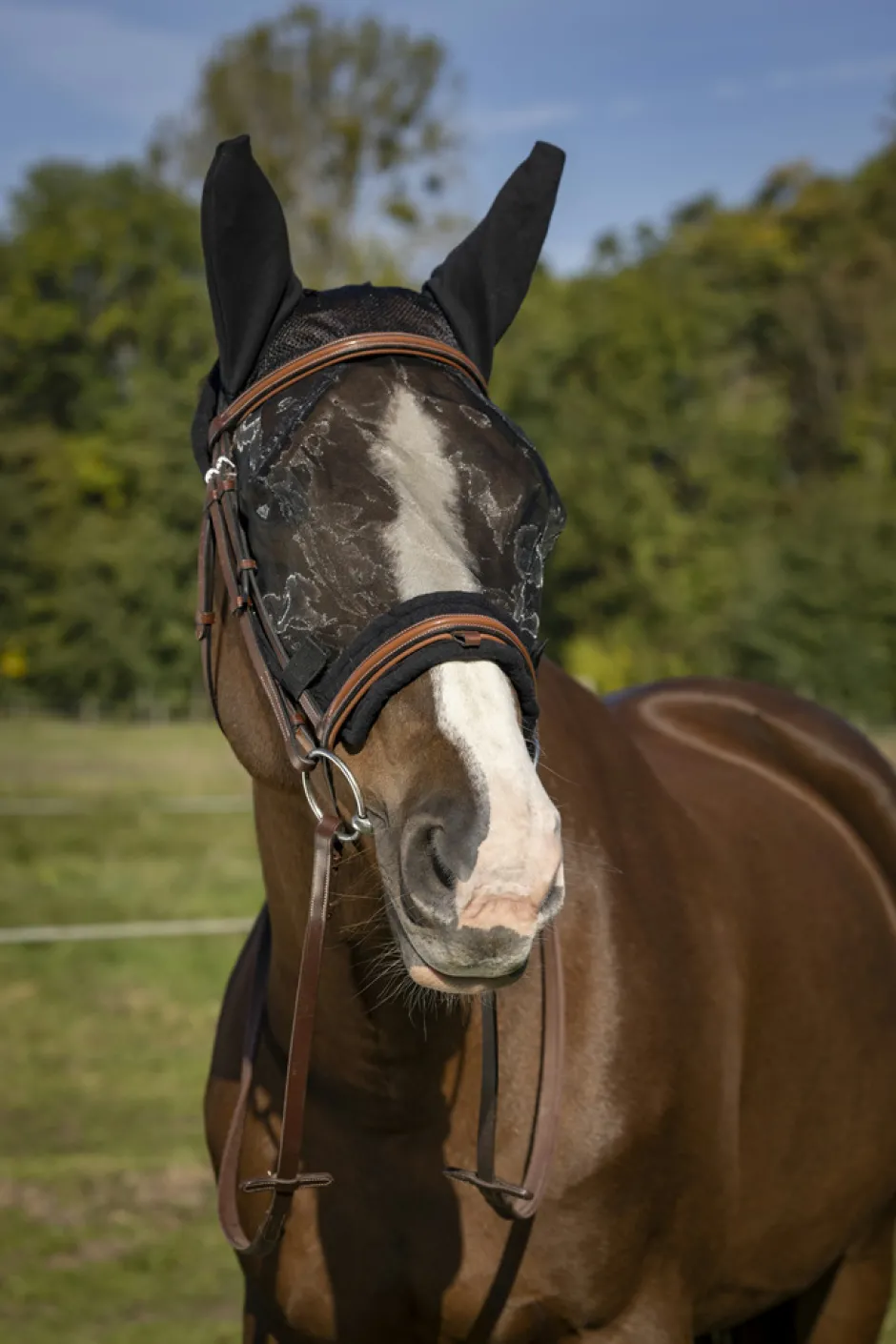 EQUITHÈME Training Antifliegenmaske