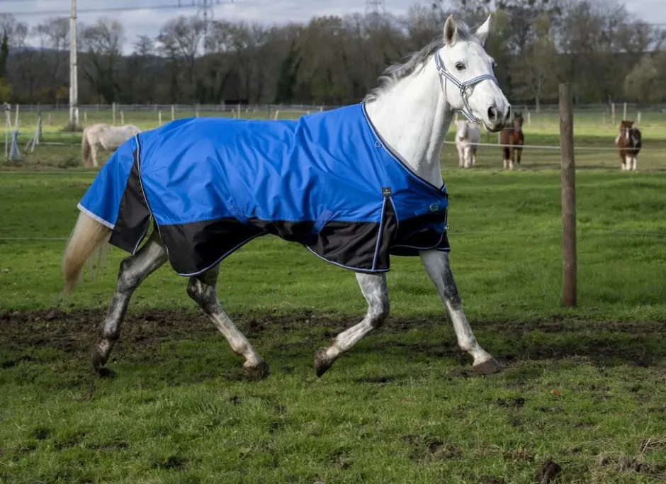 EQUITHÈME TYREX 1200D „Aisance“ Decke