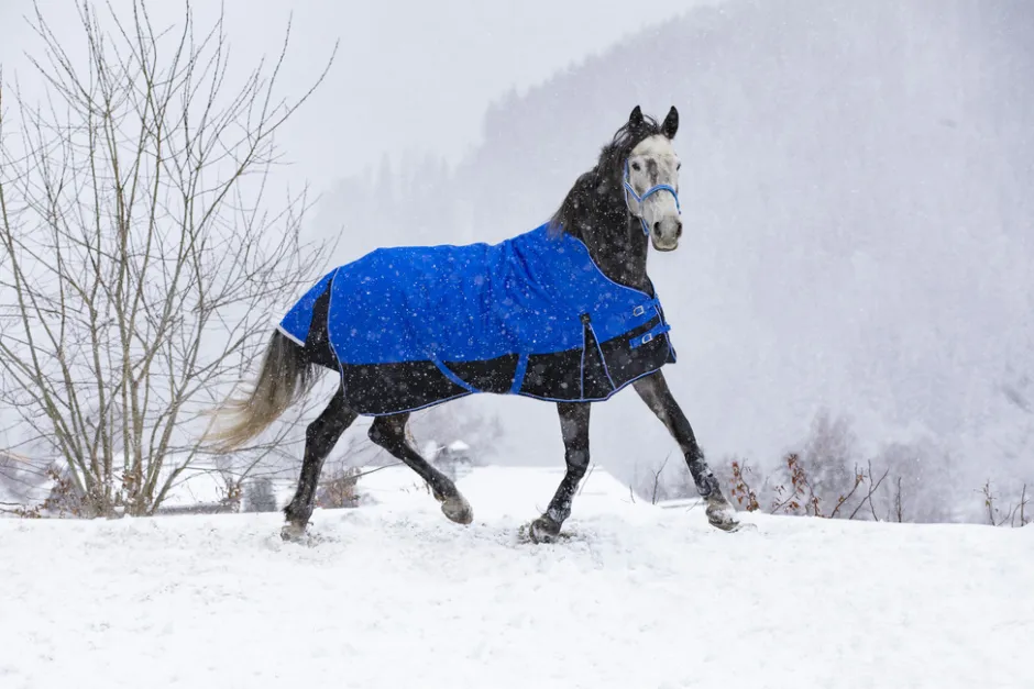 EQUITHÈME TYREX 1200D „Aisance“ High Neck Decke