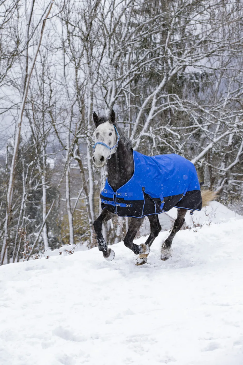 EQUITHÈME TYREX 1200D „Aisance“ High Neck Decke