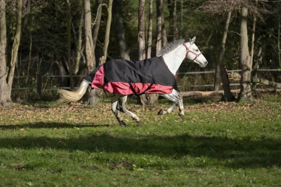 EQUITHÈME „TYREX 1200 D“ Decke