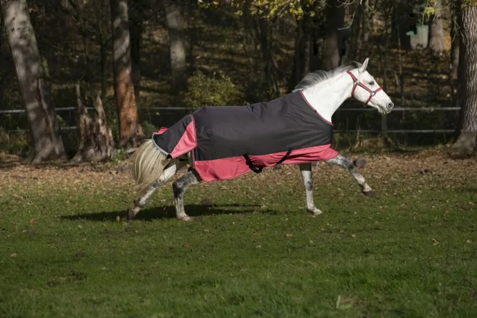 EQUITHÈME „TYREX 1200 D“ Decke