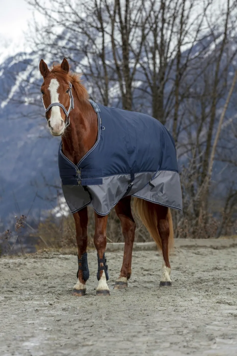 EQUITHÈME TYREX 600 D“ Decke