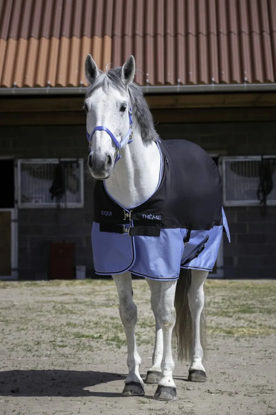 EQUITHÈME TYREX 600 D“ Decke