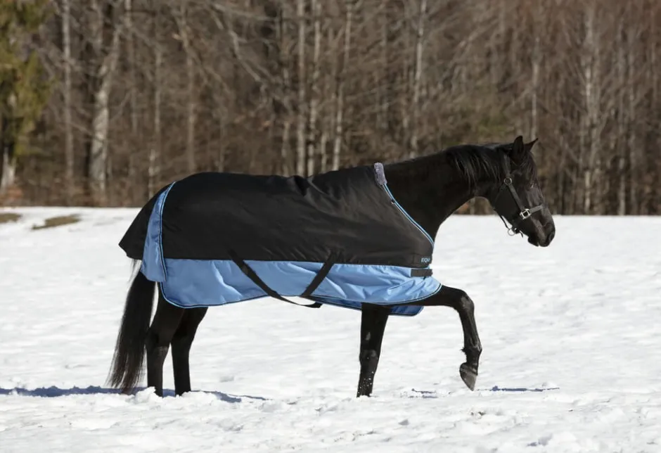 EQUITHÈME TYREX 600 D“ Decke