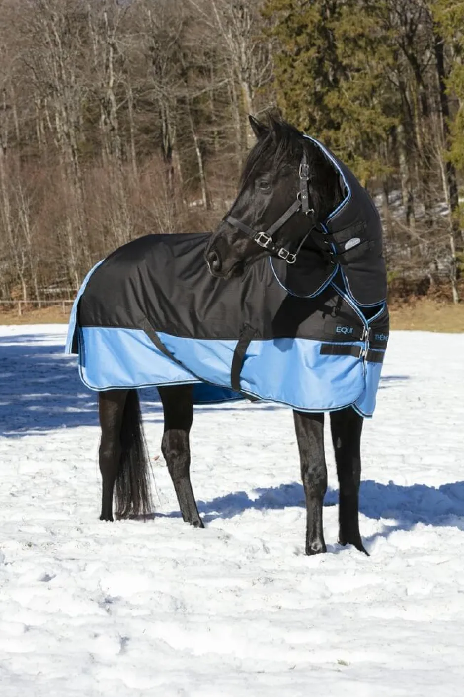 EQUITHÈME „TYREX 600 D“ Halsteil