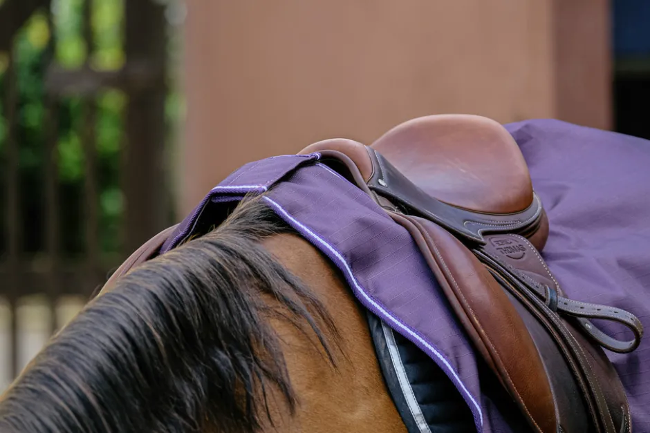 EQUITHÈME - TYREX 600D - Nierendecke Fleece