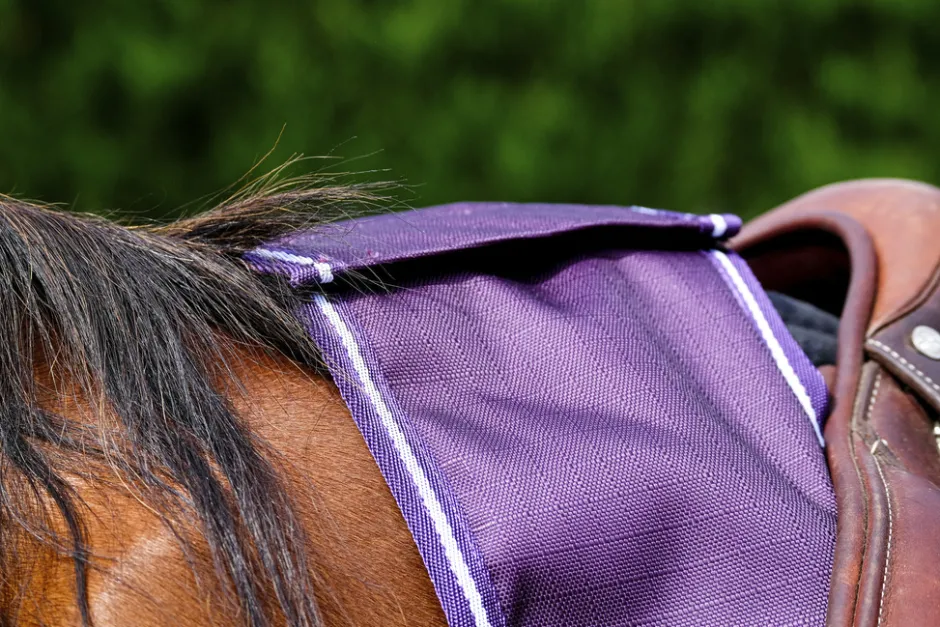 EQUITHÈME - TYREX 600D - Nierendecke Fleece
