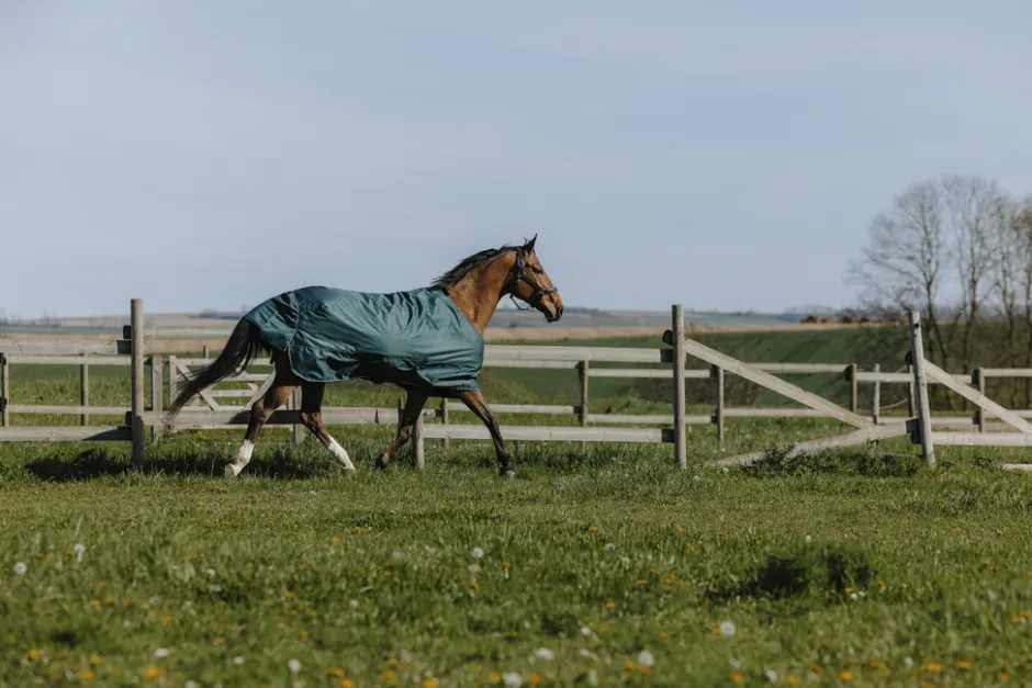 EQUITHÈME - TYREX 600D - Outdoor Decke