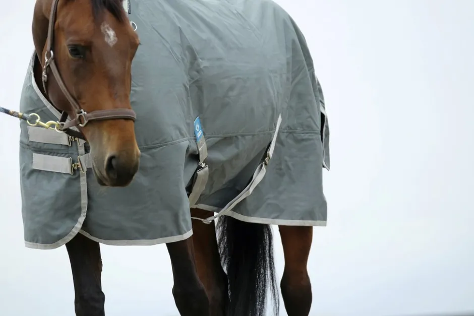 EQUITHÈME TYREX 600D Recycelte Outdoor Decke