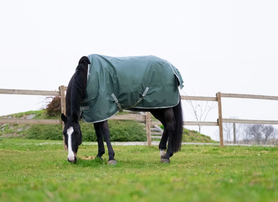 EQUITHÈME TYREX 600D Recycelte Outdoor Decke