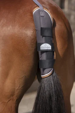 EQUITHÈME „TYREX 600 D“ Schweifschoner