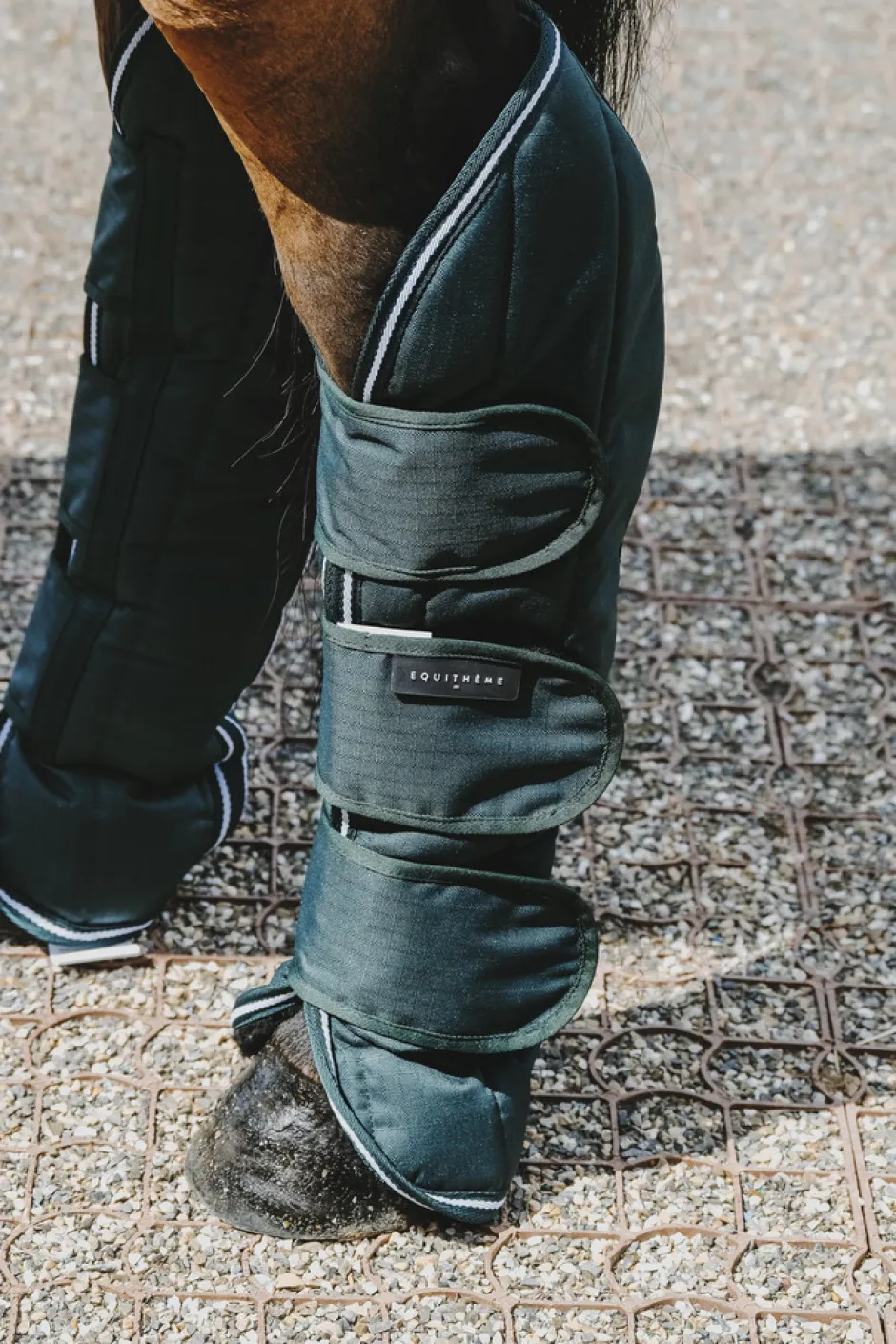 EQUITHÈME - TYREX 600D - Transportgamaschen