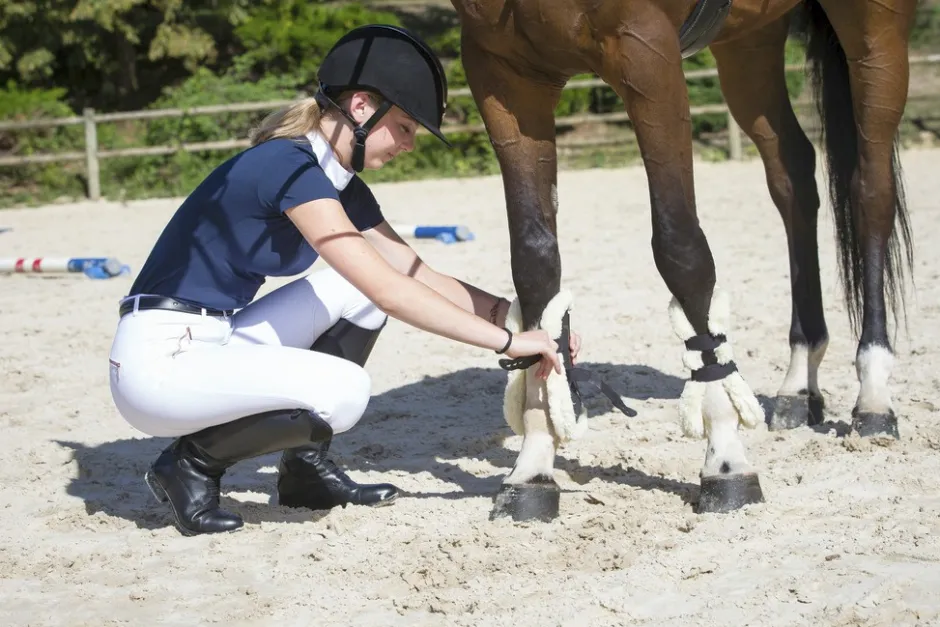 EQUITHÈME Valence Poloshirt