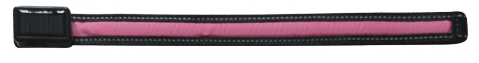 EQUIZOR LED Leuchtstirnriemen