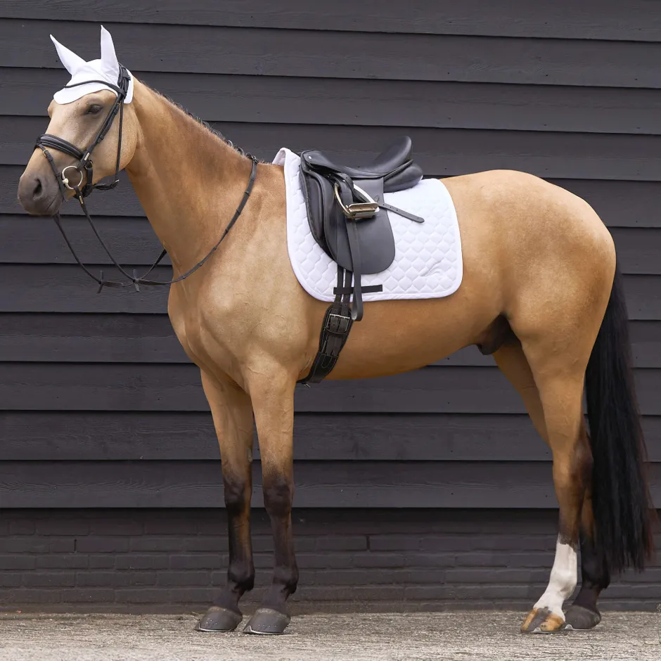 EURO-STAR Fliegenhaube ESCoco