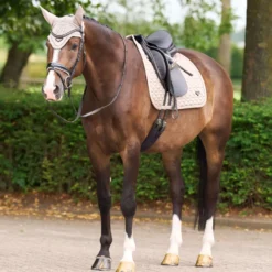 EURO-STAR Schabracke ESCato Dressur