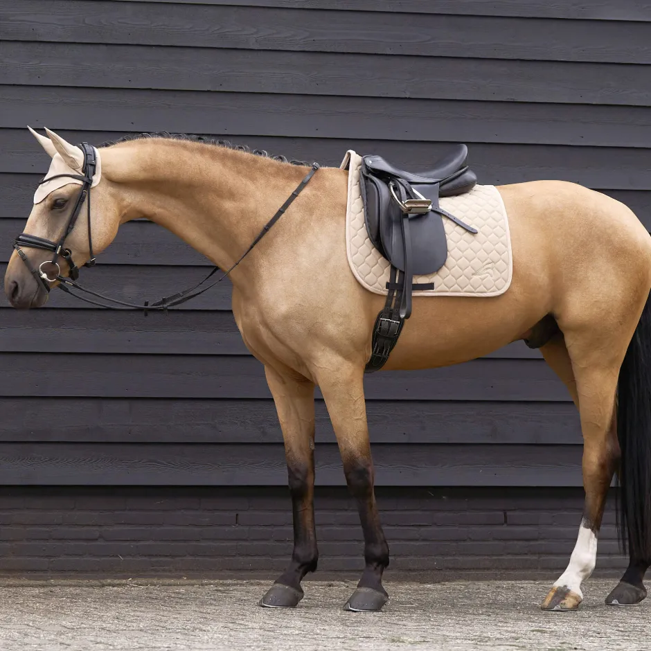 EURO-STAR Schabracke ESCoco Dressur