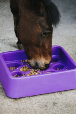 HIPPOTONIC Anti-Schling-Futtertrog
