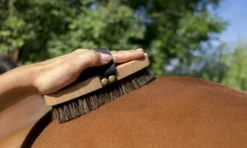 HIPPOTONIC Extra weiche Bürste, L 175 x B 70 x H 43 mm