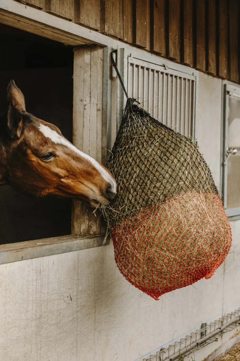 HIPPOTONIC Feines Heunetz