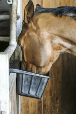HIPPOTONIC Futternapf aus Gummi