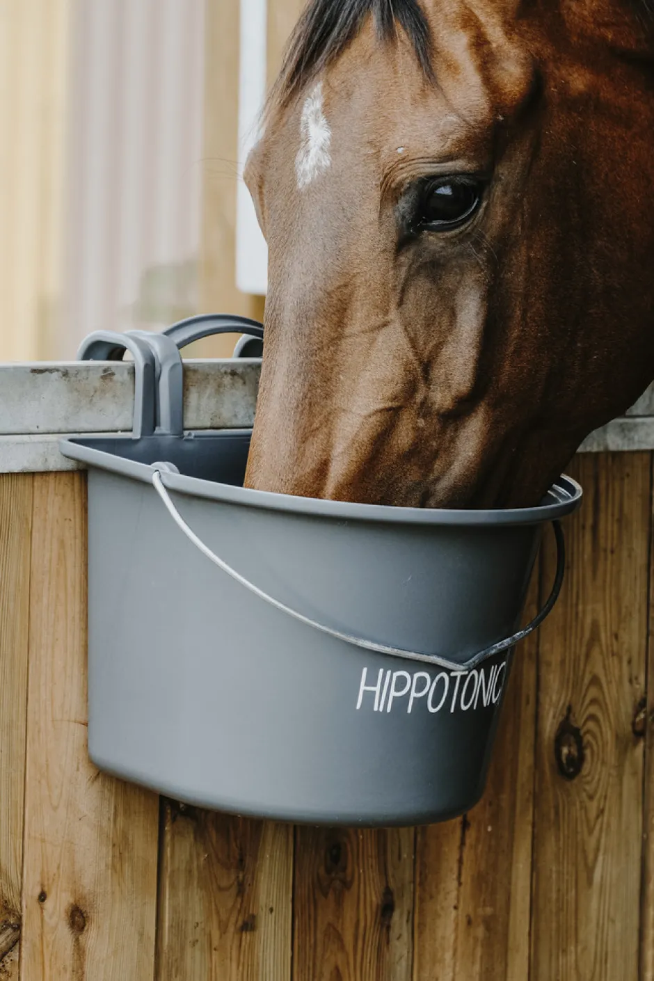 HIPPOTONIC Futtertrog mit Haken und Griff