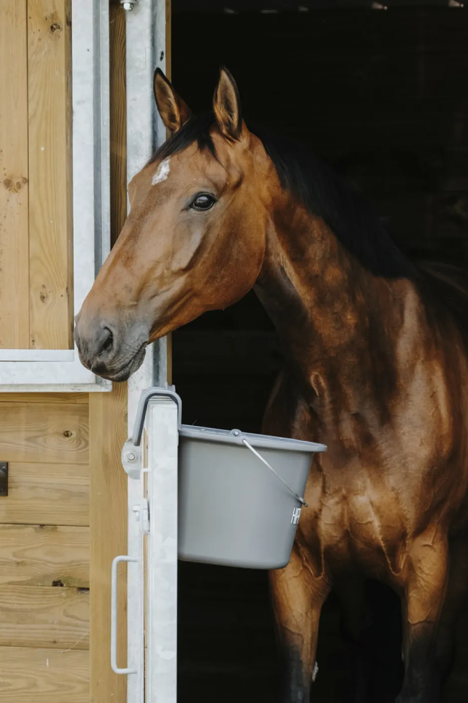HIPPOTONIC Futtertrog mit Haken und Griff