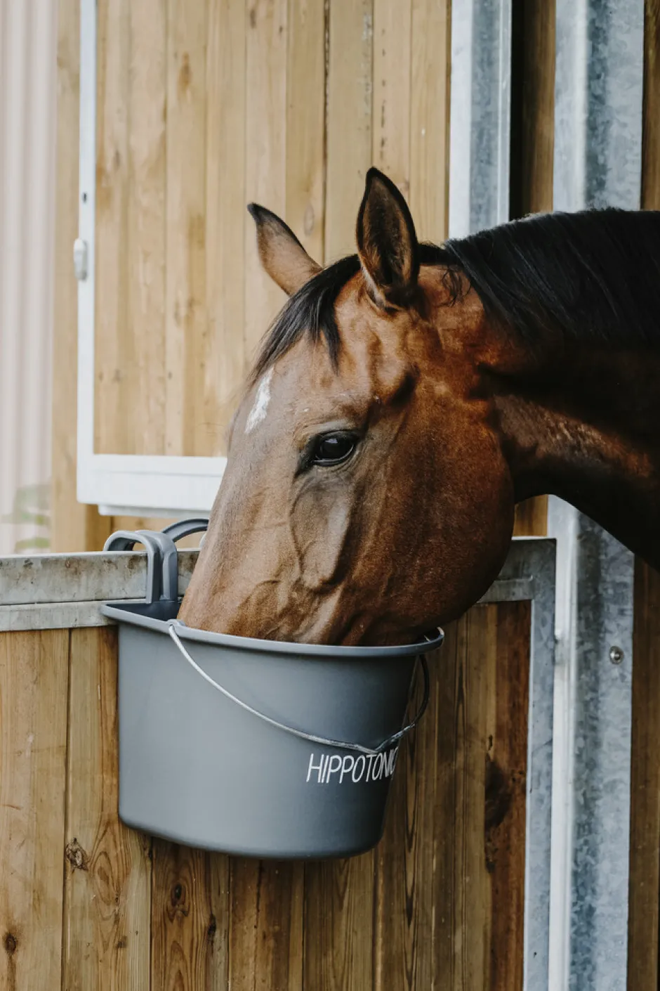 HIPPOTONIC Futtertrog mit Haken und Griff