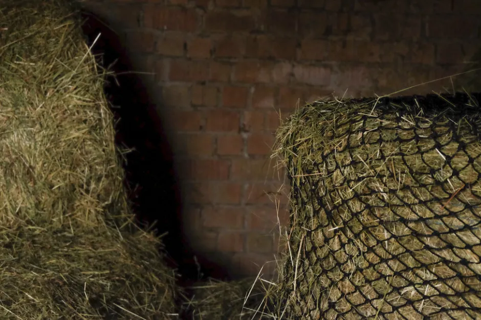 HIPPOTONIC Rundballen-Heunetz