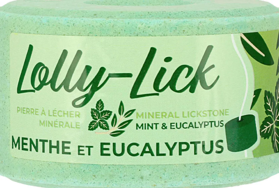 HIPPOTONIC Salzleckstein - LOLLY-LICK
