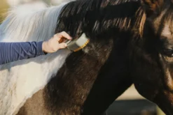 HIPPOTONIC - Vapeur - Striegel mit Stiel
