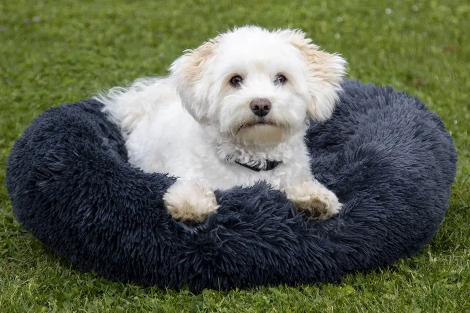 HKM Hundebett -Fluffy-