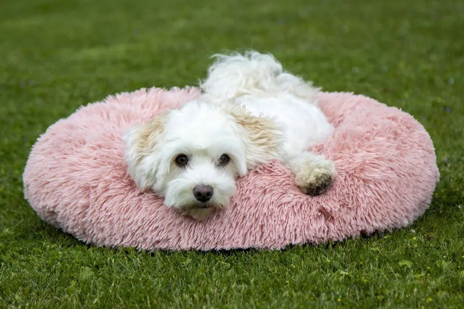 HKM Hundebett -Fluffy-