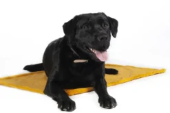 HKM Hundewendedecke -Anam Cara-