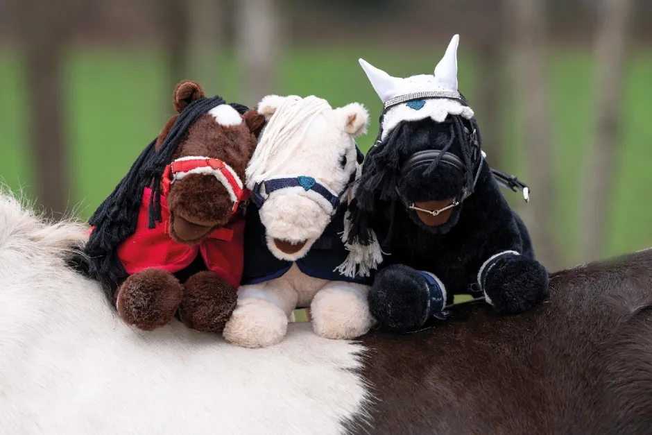 HKM Cuddle Pony