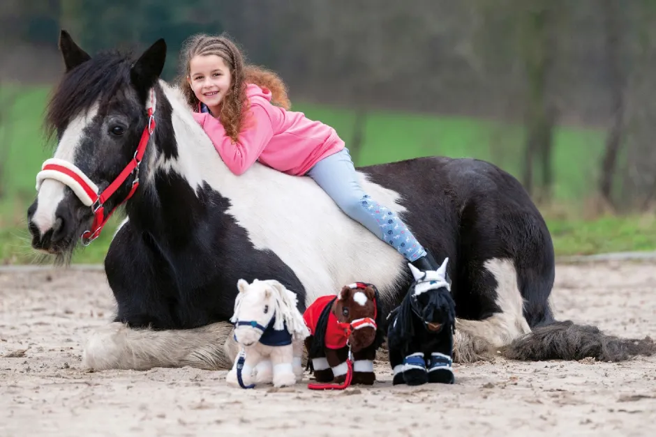 HKM Cuddle Pony