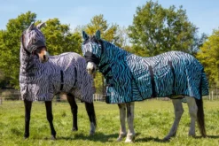HKM Fliegendecke mit Halsteil -Zebra Aqua-