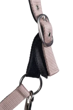 HKM Halfter -Breakaway-