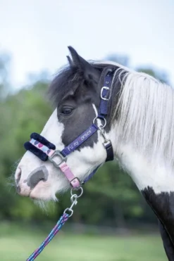 HKM Halfter -Funny Horses Hearts-