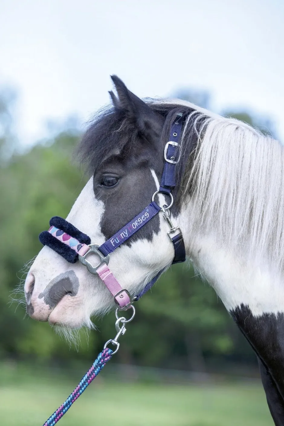 HKM Halfter -Funny Horses Hearts-